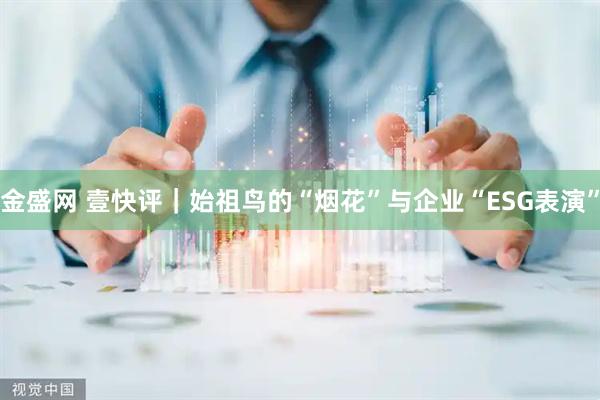 金盛网 壹快评｜始祖鸟的“烟花”与企业“ESG表演”