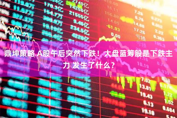 鼎坤策略 A股午后突然下跌！大盘蓝筹股是下跌主力 发生了什么？