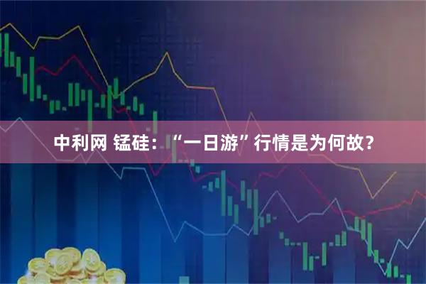 中利网 锰硅：“一日游”行情是为何故？
