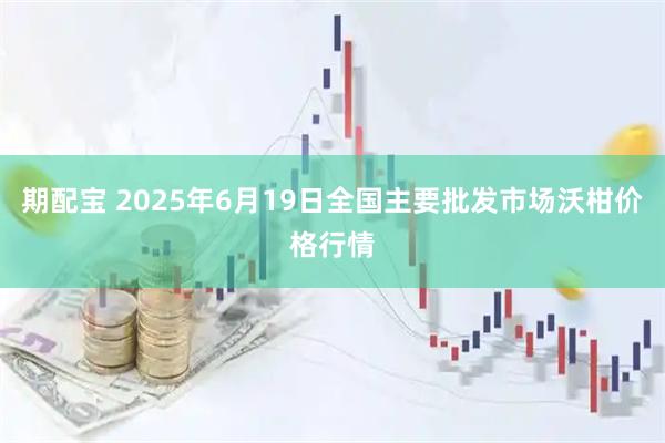 期配宝 2025年6月19日全国主要批发市场沃柑价格行情